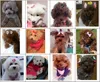 Polka Dot Yay Köpek Saç Süsler Sevimli Yaylar Şerit Pet Bakım Aksesuarları El Yapımı Küçük Köpek Kedi Saç Elastik Lastik Bant DBC BH2858