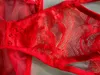 Partihandel ny heta försäljning kvinnor sömnkläder spets underkläder ihålig genomskinlig underkläder frenum rem underkläder sexig underkläder set f011