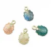 13 PC Conch Sea Shell Pendant DIY Charms 쥬얼리 펜던트 목걸이 여성 남성 유니섹스 패션 트렌디 한 쥬얼리 비치 선물