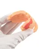 Dessin animé Silicone singe dentition de qualité alimentaire mignon bébé jouets de dentition sucette infantile pour enfants produits de soins infirmiers