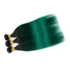 # 1B / Verde Ombre Cabelo Humano Peruano Reta 3 Pacotes de Raízes Pretas para Ombre Verde Escuro Virgem Do Cabelo Humano Weave Extensões Tramas Duplas 10-30 "