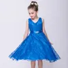 8 Цветов Детские дизайнерские ценные девочки TUTU сетки платье детей без рукавов кружевные платья принцессы 2019 летняя мода детская одежда M343