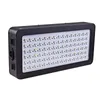 LED Grow Light 900W Volledig spectrum voor planten Bloemen Zaad VEG Binnen Groeilampen Greenhouse Grow LED-verlichting