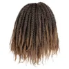 New Styleblack Women039s Cabelo Marley Braid Afro Kinky Marley Styles