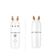 30 ml USB-oplaadbare facial steamer nano meneer spuitbeter cool gezicht spray steamer reizen vochtinbrengende gezichtspuit beauty tool