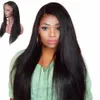 360 Kant Frontale Pruik Pre Geplukt met Baby Haar Maleisische Straight Menselijk Haar Pruiken 150% Dichtheid Remy Hairs