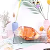 Clear Braed Bag Zipper Fresh Storage Box Biscuit Cake Cholesale Snack Basket Gift Food Bag yq00839