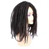 Lans 20 afro kinky lockigt hår bulk Braid naturligt svartbrunt syntetiskt hårförlängningar Marley 100g datorer flätning cospla192g