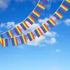 Lesbische Gay String Rainbow Flags 30 Feet Rainbow Flag LGBT Pride Flag String Indoor / Outdoor Gay Lesbian Party