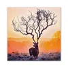 W388 Antler Home Decoration Spray Painting