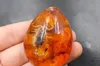 Pendentif ambre d'insecte de glace naturel, pendentif goutte d'eau papillon, cire d'ambre, vente en gros