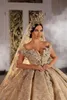 Luxury Dubai Champagne Wedding Dresses Off Shoulder Lace 3D Floral Appliques Ball Gown Empire Wedding Dress Plus Size Robe De Mariee