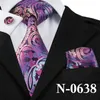 Mens 100% Silk 15 Style Paisley Tie Designer Krawatte Verschiedene Stile Großhandel Einzelhandel Woven Wedding Party