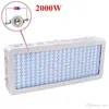 600W 800W 1000W 1200W 1500W 1600W 1800W 2000W Çift çip LED, kapalı bitki için ışık tam spektrum kırmızı/mavi/uv/ir