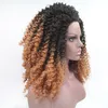 Korte Bob Pruik Hittebestendige 360 ​​Frontale Synthetische Kant Full Hair Pruik met natuurlijke haarlijn Ombre Brown Kinky Curly Pruiken voor Vrouwen