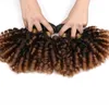 Şişme Kıvırcık Saç Paketler 3 / 4pcs 1B / 4/30 Ombre Rengi İnsan Saç Uzantıları Kıvırcık Saç Dokuma Paketler