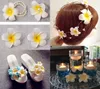 Handmade Plumeria Artificial Foam Frangipani Flower Fake Egg Flower for Wedding Coarge Headpiece Party Home Decoration 4/6/8/10cm