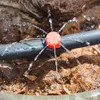50 st Justerbar utrustning Dricker Röd mikro dropp bevattning Vattning Anti-Clogging Emitter Garden Tillbehör för 1/4 tums slang