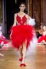 Runway Fashion Korte Prom Jurken Rode Kant Applicaties Spaghetti Avondjurken Ruches Tulle Cocktail Party Jurk Goedkope Formele Kleding