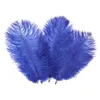 100 Piece, 15-20cm (6-8 inch) Real Natural Ostrich Feather Home Decor DIY Craft Ostrich Feathers Party Wedding Decorations Feather
