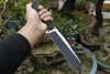New Arrival Free Wolf Fixed Blade Straight Knife 9Cr18Mov Titanium Finish Tanto Blade CNC Full Tang G10 Handle With Leather Sheath