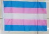 Banderas de la bandera gay con asta de plástico Bandera del orgullo transgénero Banderas del orgullo gay Tamaño 14 * 21 cm