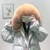 2019 Vinter Nya Kvinnors Stora Raccoon Fur Hooded Loose Palazzo Vit Duck Down Padded Midi Long Parkas Down Coat Casacos SMLXL