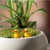 Duck Garden Home Ornament Doll Toy Pendant Micro Landschap Natuurlijke Hars Arts Crafts Gifts