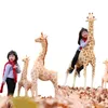 Dorimytrader 5.2feet Största giraff Plush Toy Giant Simulation Animal Giraffe Doll för barn gåva hem deco 63 tum 160 cm dy50641