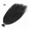 Couleur naturelle birmane brésilienne Afro Kinky Curly 4B 4C 3B 3C Fusion de kératine pré-collée I Tip Extensions de cheveux humains vierges bruts9451919