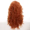 Perruque de cheveux de fête pour Merida Cosplay, perruque longue de couleur profonde, perruque de costume de fille courageuse