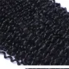 Brasilianska mänskliga remy jungfruliga hår kinky lockigt hår väver naturlig färg 100g bunt dubbel wefts 4bunds mycket hårförlängningar4135836