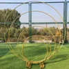 Cercle arc de mariage fond étagère en fer forgé accessoires décoratifs bricolage rond fête fond étagère fleur avec cadre