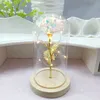 Real Touch Rose Glass Cover Lamp Artificial Gold Leaf Flower Eternal Flower Night Light Christmas Valentine's Day Gift