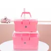 Cosmetic Organizer Hand Held Desktop Storage Box Plastic Scissors Makeup Jewelry Nail Polish Pen Container Manicure Tool Case212S6172686