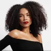 黒人アフリカ系アメリカ人女性のための短いアフロキンキーカーリーヘアウィッグ天然茶色の衣装合成ウィグ2648405