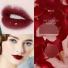 Pintalabios DIY pigmento en polvo brillo de labios pigmento para brillo de labios en polvo rojo rosa herramientas de maquillaje cosméticos Gloss3890759