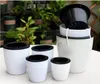 3 Pack Self Watering Pot PP Material White Flower Planter for Lazy Office Ladies for Succulents Planting Hydroponics and African Violet