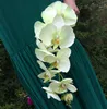 10 pezzi di branco di fiore di fiore di fiore di fiore decorativo Fallo Finole decorativo Fallo Fallo Flower per la casa Phalaenopsis artificiale per fiore decorativo
