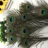 Natural Peacock Feather 25-30 cm Home Bruiloft Decoratie Benodigdheden Elegante Pauw Staart Veer Stage Performance Prop Feather BH2152 ZX