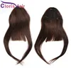 Klipp i Bangs brasilianska Remy Human Hair Front Neat Fringe Hand bunden raka luggklipp på hårstycket med Temple6372374