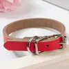 Dog Ajust￡vel Coloque de letra de fivela de fivela colarinho de couro de pesco￧o suprimentos para c￣es para c￣es vermelhos azul rosa e arenoso