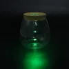 Bouteille de vase en verre de paysage de mousse de DIY en forme de goutte d'eau avec le décor à la maison de lumière de LED