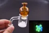 glas dominess dab rig