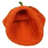 Unisex Adults Womens Mens Winter Costume Knitted Crochet Pumpkin Skiing Snowboarding Cosplay Halloween Beanie Hat Cap