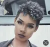 Moda İnsan Gümüş Gri Kinky Kıvırcık At Kuyruğu Klip Afro Kinky Kıvırcık Gri Attail Saç Uzatma Gri Saç Çörekler