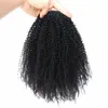 120g Ponytail Extension Raw Remy Virgin Peruvian Human Hair Natural Color Afro Kinky Curly Hair Piece Clip-in Top Closure Ponytail(10inch)