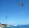 Ongediertebestrijding 2,5x7,7 voet Black Hawk Kite Kits Bird Scarer Bescherm boerengewassen Wordt geleverd met een gratis lijn