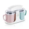 home ice cream maker