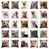 Custom Throw Pillow Covers Animal Cushion Cover Home Decoration Polyester 45x45 Pet Dog Pillow Case For Living Room Sofa Decor